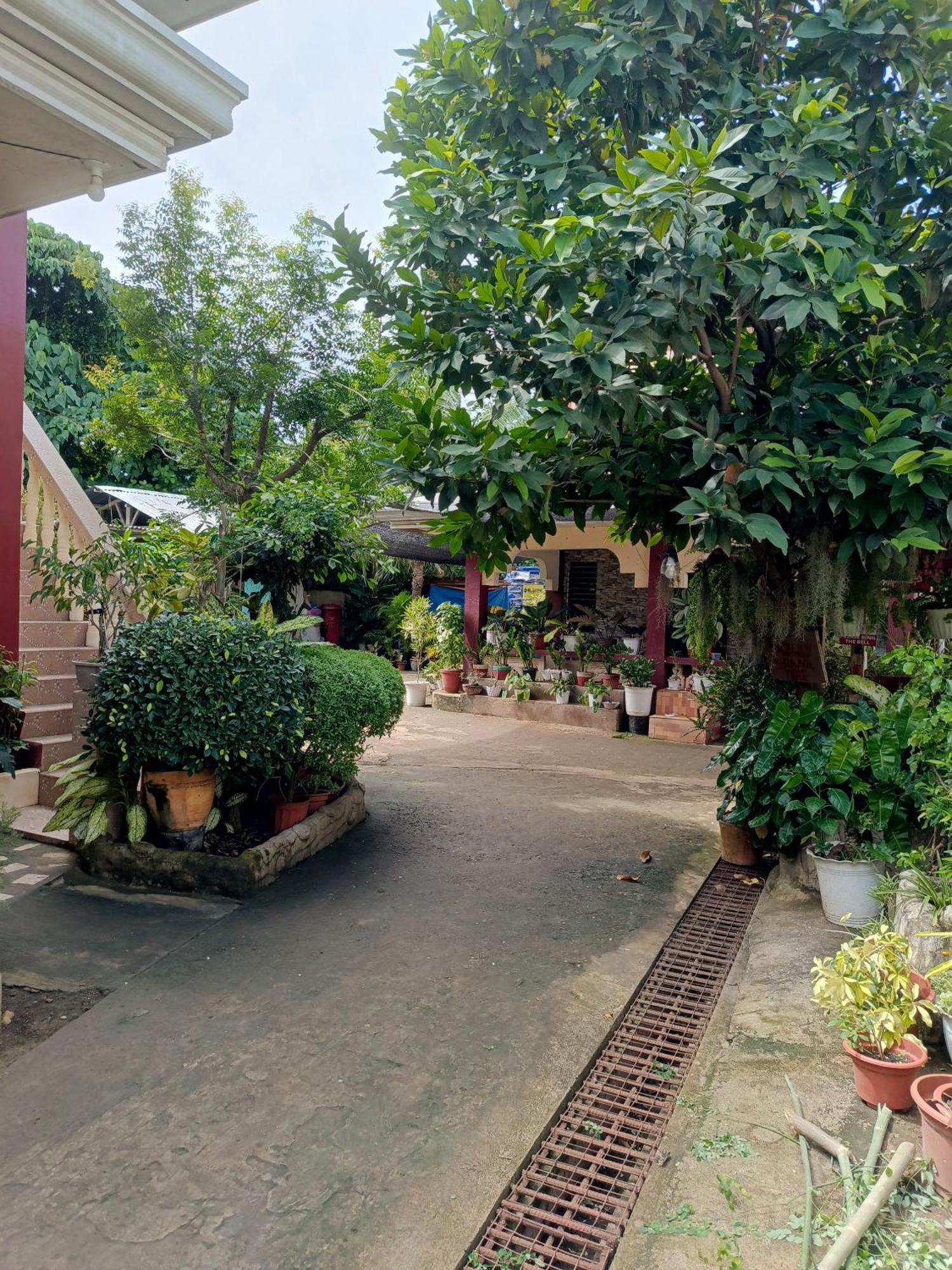 Peace Lily Studio Apartments 邦劳 外观 照片