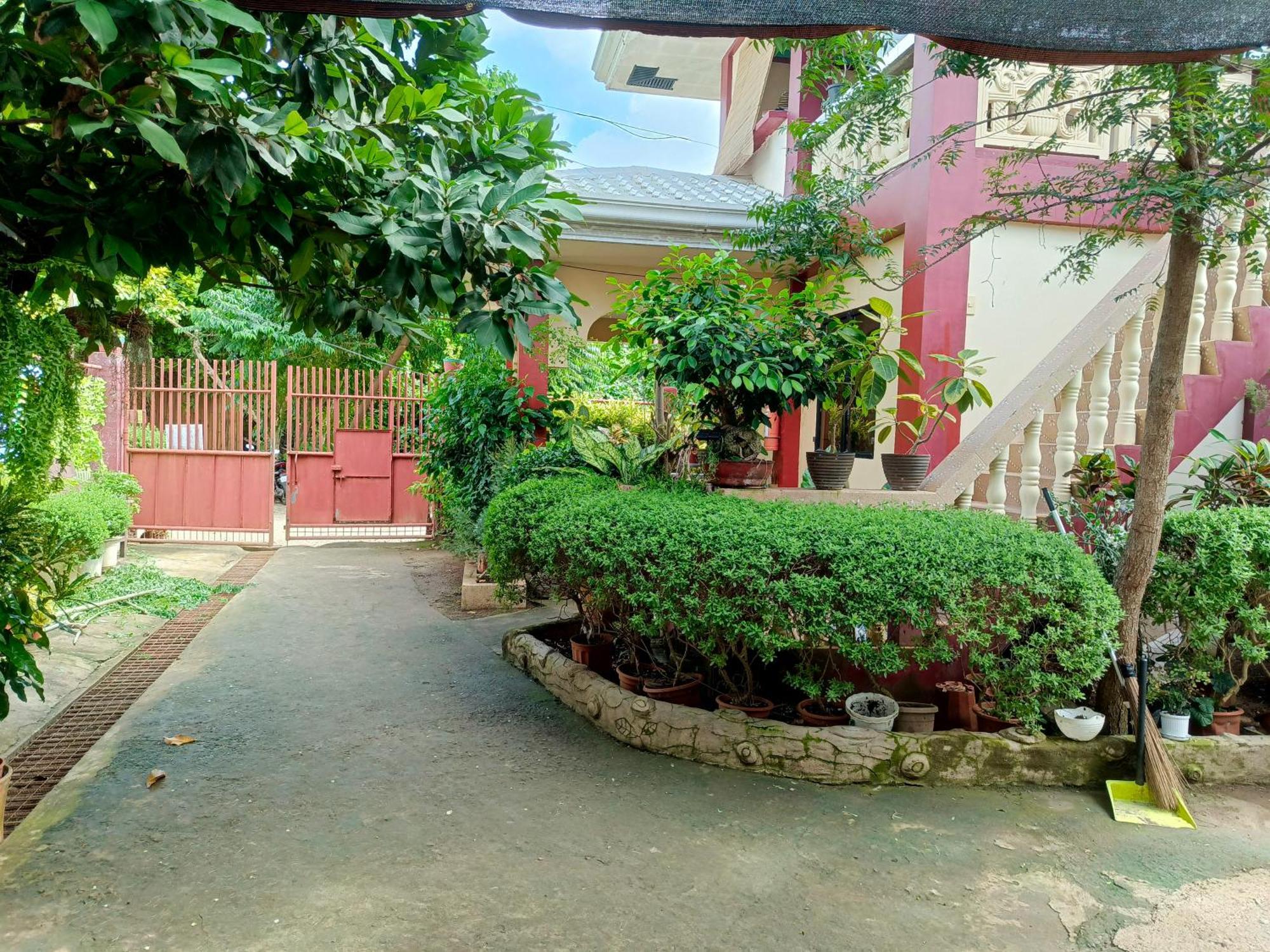 Peace Lily Studio Apartments 邦劳 外观 照片
